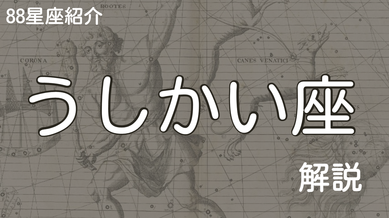 うしかい座