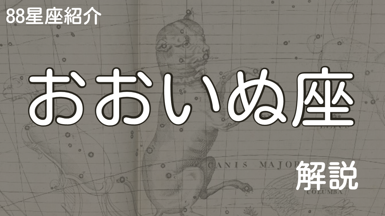 おおいぬ座