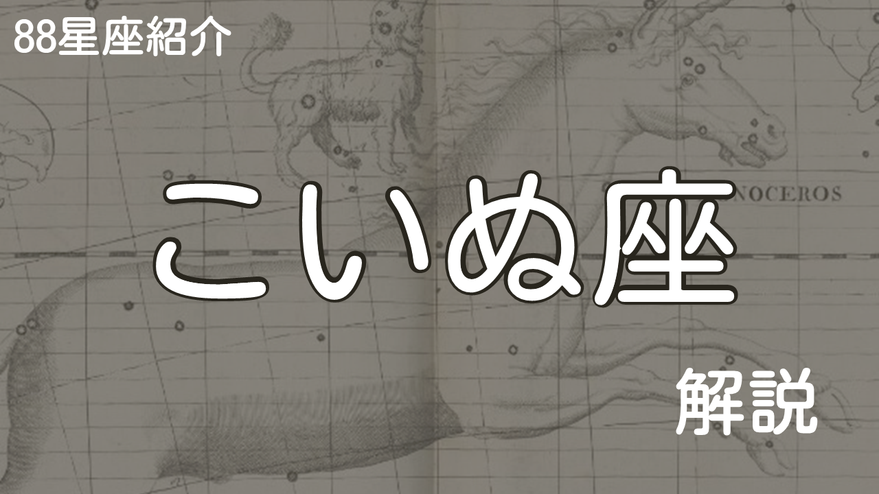 こいぬ座