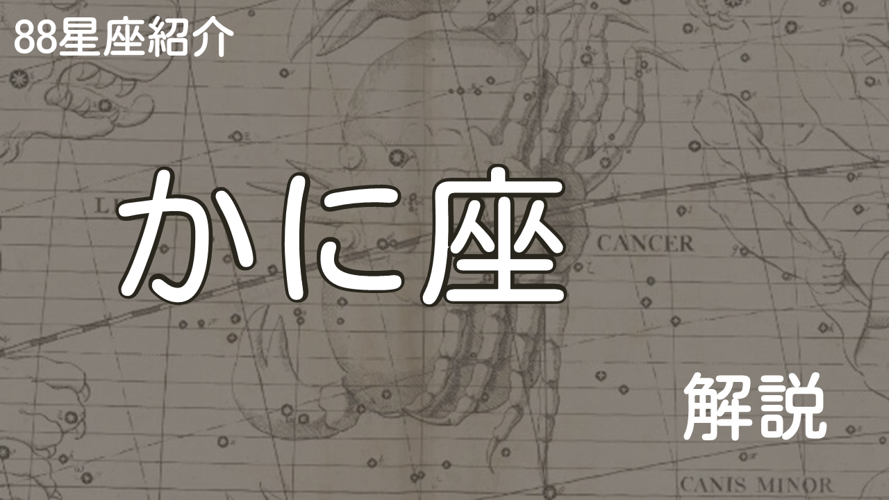 かに座
