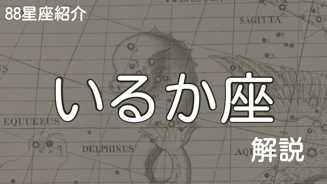 いるか座