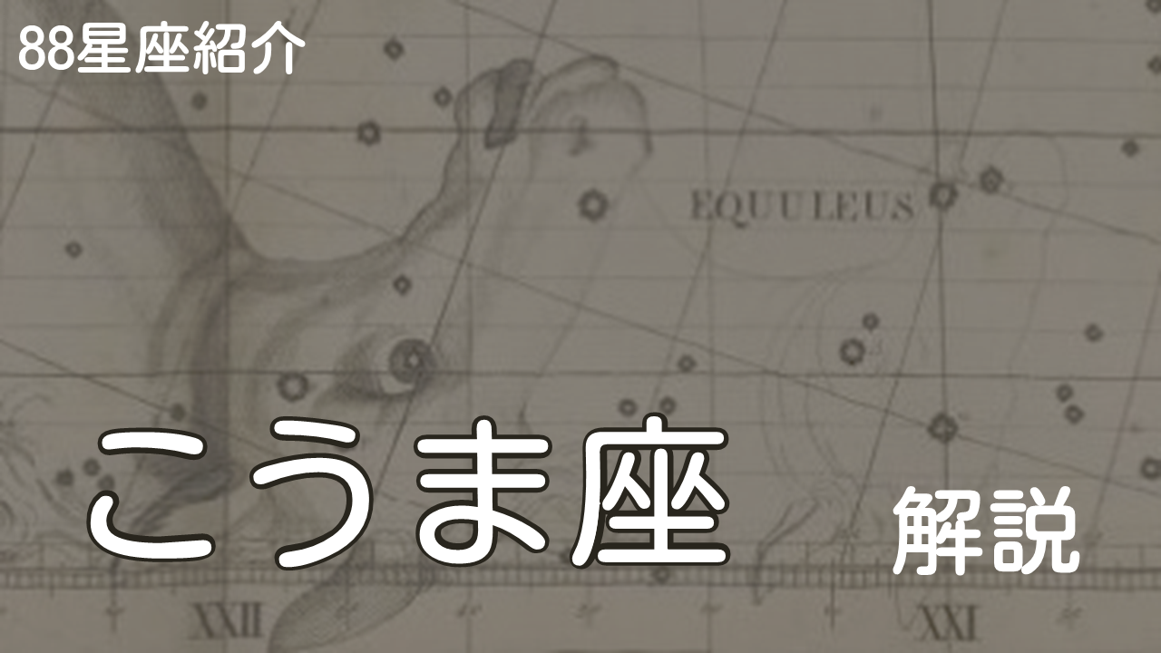 こうま座