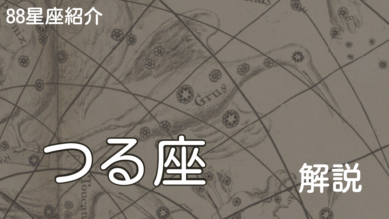 つる座
