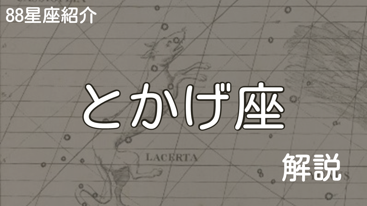 とかげ座