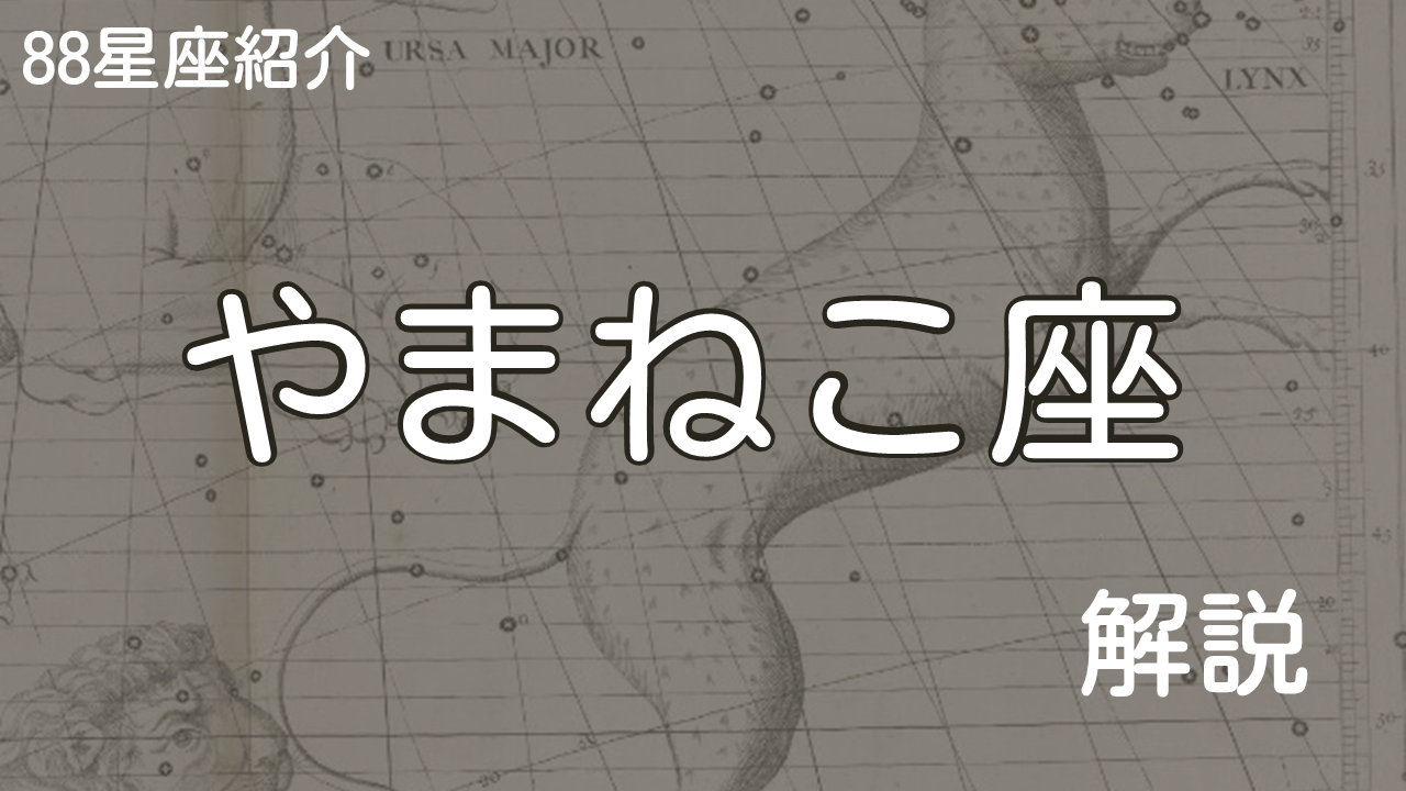 やまねこ座