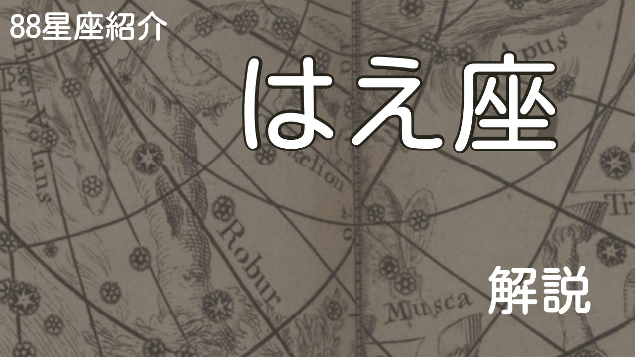 はえ座