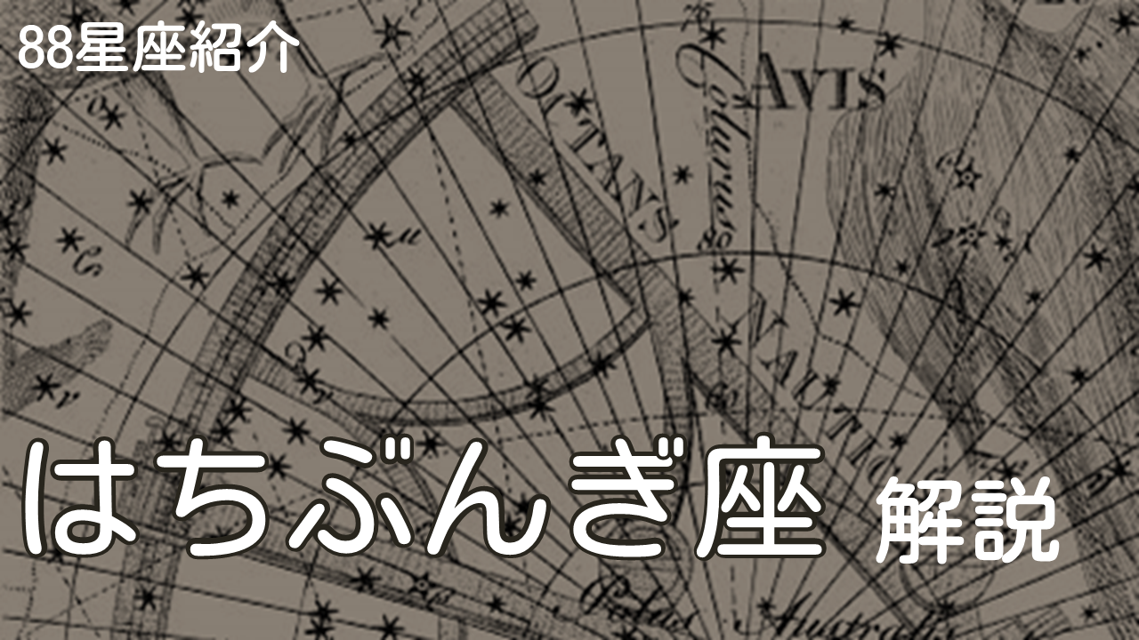 はちぶんぎ座