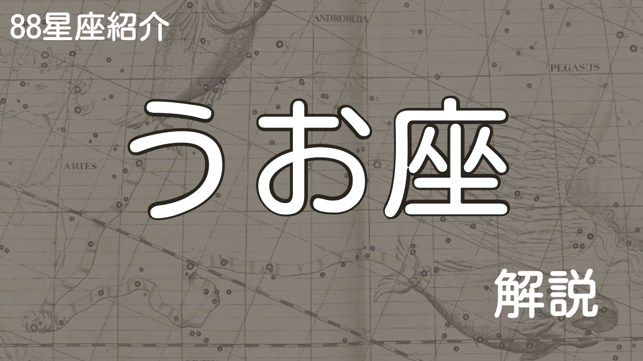 うお座
