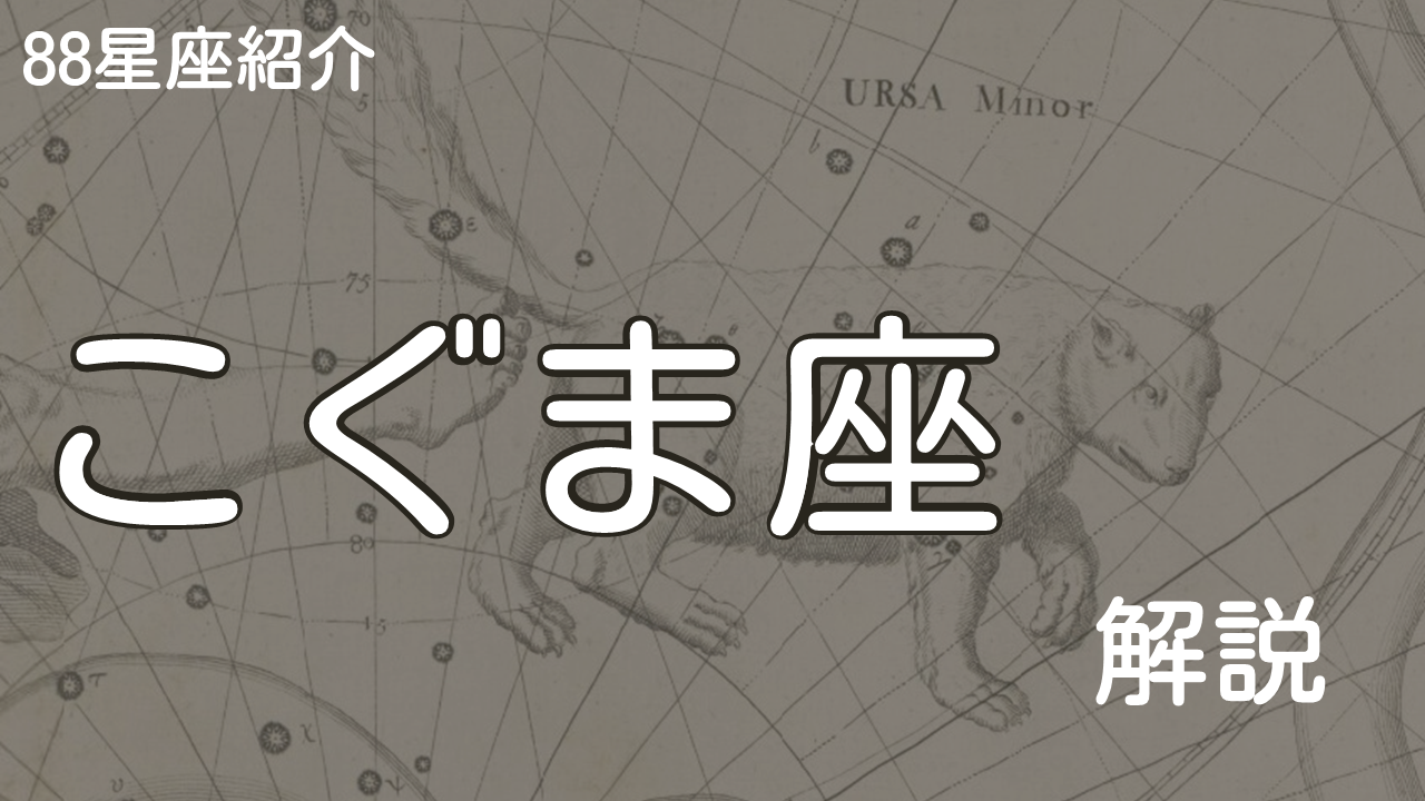 こぐま座