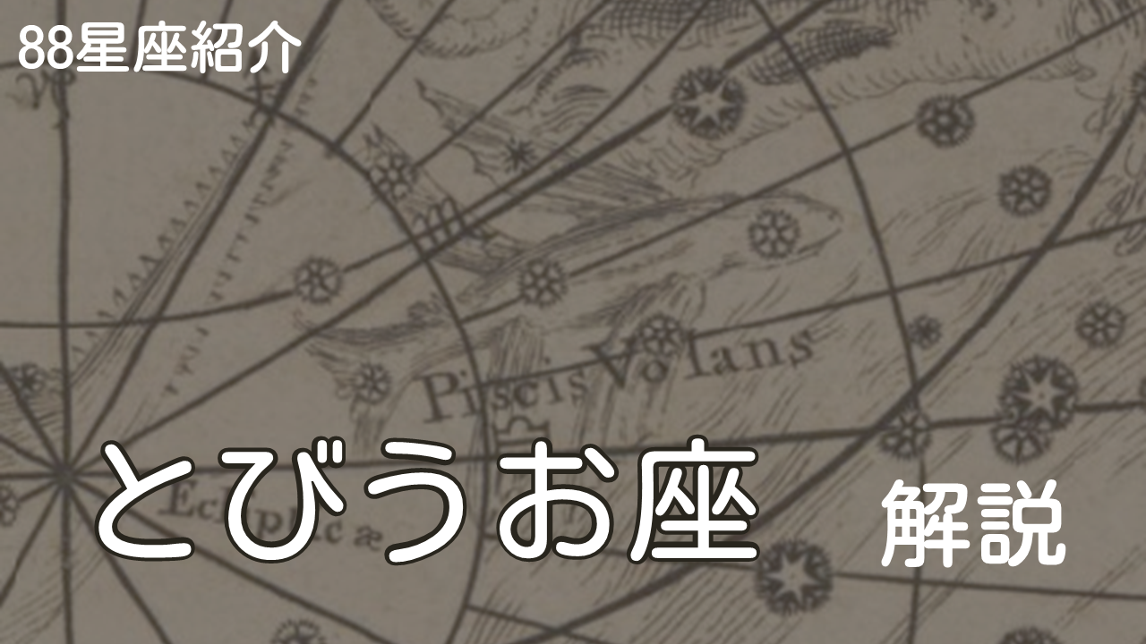 とびうお座